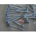 Umbrella Head Roofing Nails von der Herstellung in China